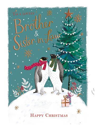 Christmas Card - Brother and Sister-in-Law - Polar Christmas