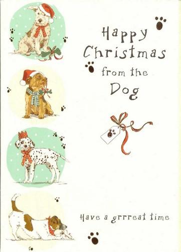 Christmas Card - From The Dog - Festive Doggies