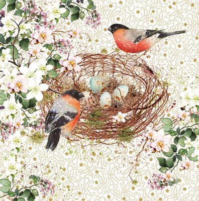 Birthday Card - Birds Nest/Eggs