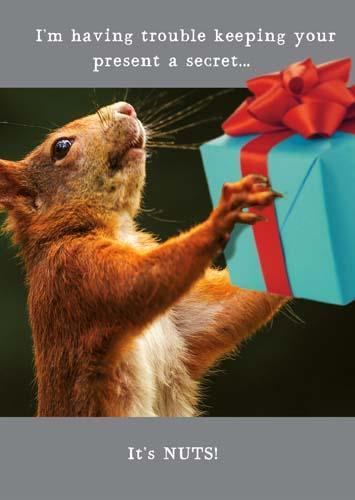 Humour Card - Squirrel With Present