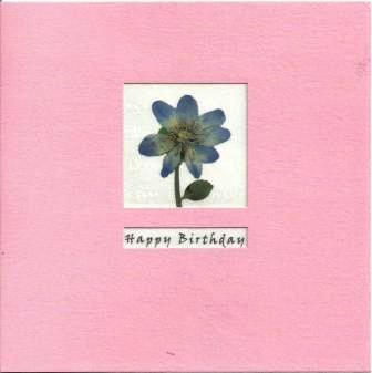 Birthday Card - Blue Lavatera