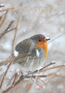 Christmas Card - Thinking Of You - Robin