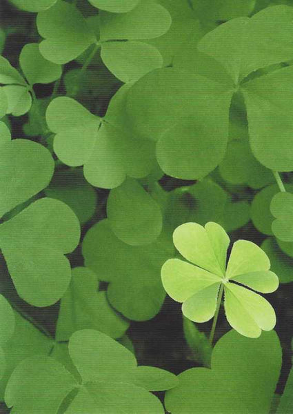 Good Luck Card - Lucky Clover