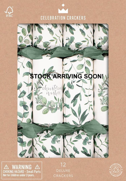 Christmas Crackers - 12 Eucalyptus 12 inch Deluxe Christmas Crackers