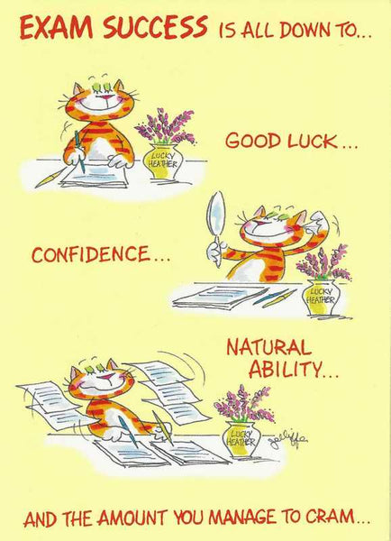 Good Luck Card - Exams - Confidence Cat