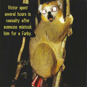 Humour Card - Furby