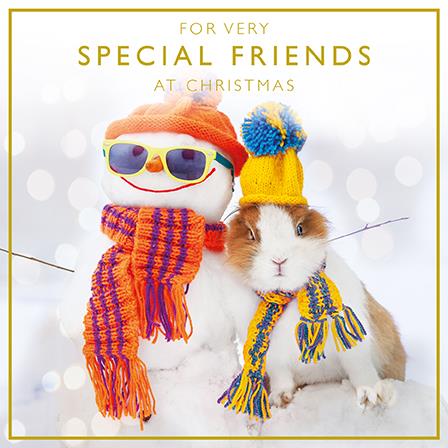 Christmas Card - Special Friends - Festive Friends in the Snow from The Art Group, English cards in France