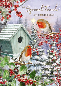 The Great British Card Company Christmas-Card-Special-Friends-Robins-&-Birdbox-with-Berries-&-Holly, English Christmas Cards in France