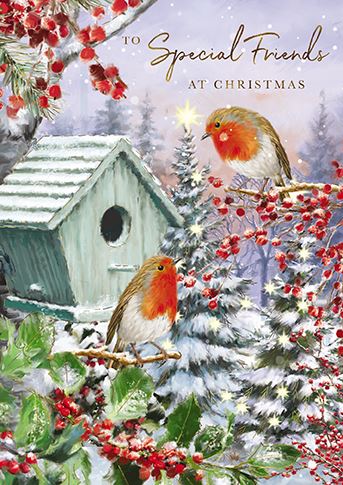 The Great British Card Company Christmas-Card-Special-Friends-Robins-&-Birdbox-with-Berries-&-Holly, English Christmas Cards in France