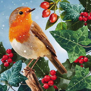 The Great British Card Company Charity Christmas Cards Pack of 8 Robin-1, English Christmas Cards in France