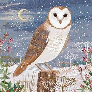 The Great British Card Company Christmas Cards - 12 Luxury Cards - Robins, Pheasant, Owl, English Christmas Cards In France