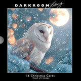 Christmas Cards - 16 Luxury Cards - Icy Owls from The Great British Card Company, Advent Calendars in France, English Christmas Cards in France