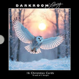 Christmas Cards - 16 Luxury Cards - Christmas Owls From The Great British Card Company, English Christmas cards in France