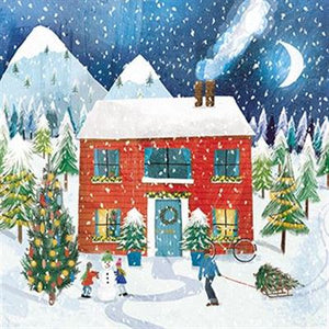 The Great British Card Company Christmas Cards - 10 Cards - Christmas Cottage, Winter Skaters, English Christmas Cards In France