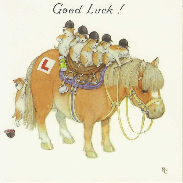 Good Luck Card - Driving Test Guinea Pigs On Horse