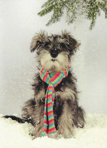 Christmas Card - Grandpa - Scruffy