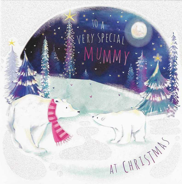 Christmas Card - Mummy - An Arctic Night