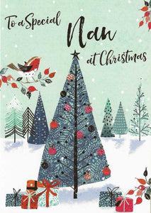 Christmas Card - Nan - Warm Winter Wishes