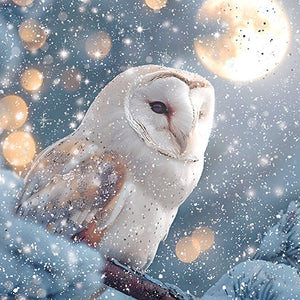 Christmas Cards - 16 Luxury Cards - Icy Owls