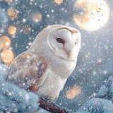 Christmas Cards - 16 Luxury Cards - Icy Owls