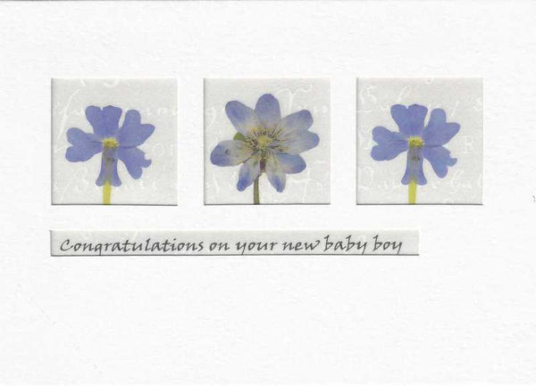 New Baby Boy Card - Iris and Pansy