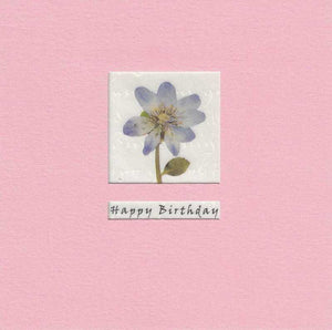 Birthday Card - Blue Lavatera