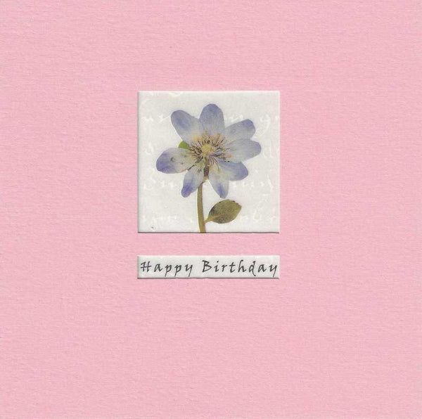 Birthday Card - Blue Lavatera