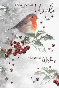 Christmas Card - Uncle - Winter Robin