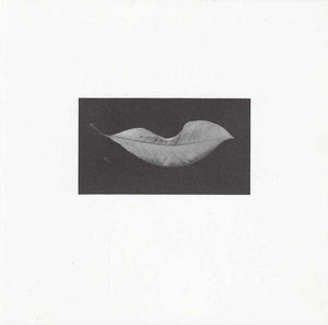 Blank Card - Leaf Lips