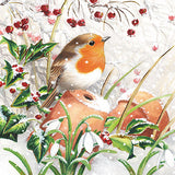 Christmas Cards - 10 Cards - Robin And Berries / In The Garden