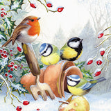 Christmas Cards - 10 Cards - Robin And Berries / In The Garden