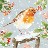 Tarjetas de Navidad - 10 tarjetas - Petirrojos navideños