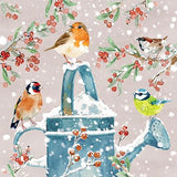 Tarjetas de Navidad - 10 tarjetas - Petirrojos navideños