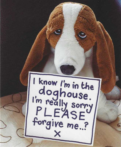 Sorry Card - I know I'm in the doghouse...