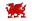 Cym Cards EI logo