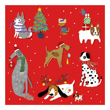 Charity Christmas Cards - Pack of 6 - All I Want For Christmas Is Dogs!