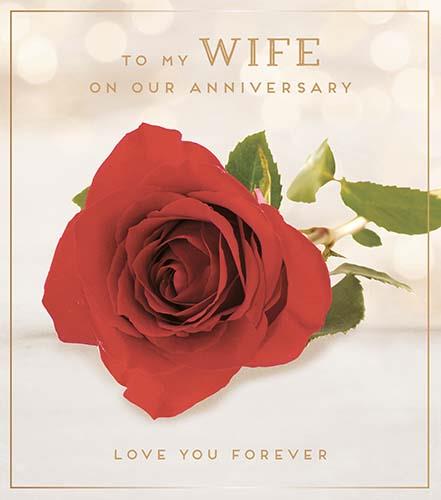 Anniversary Card - Wife Anniversary - Red Rose Anniversary Love Forever