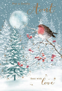 Christmas Card - Aunt - Frosty/Icy Robin