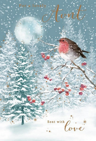 Christmas Card - Aunt - Frosty/Icy Robin