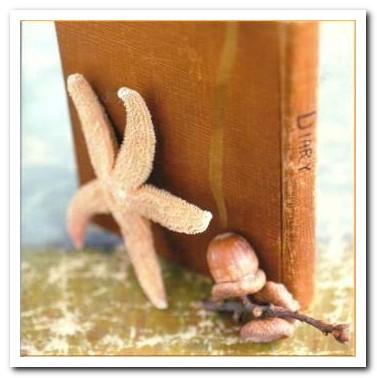 Blank card - Starfish, Acorn and Book