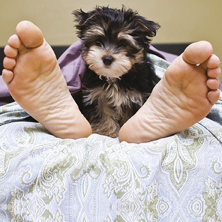 Blank Card - Big Foot Puppy