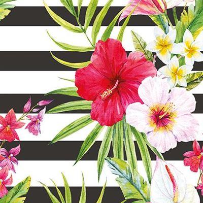 Blank Card - Striped Hibiscus