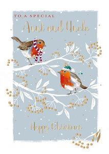 Christmas Card - Aunt and Uncle - Festive Robins