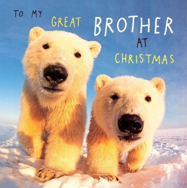 Christmas Card - Brother - Curious Young Polar Bears