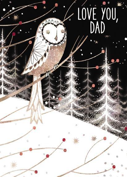 Christmas Card - Dad - Owl At Night