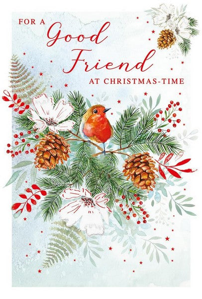 Christmas Card - Special Friend - Robin & Foliage