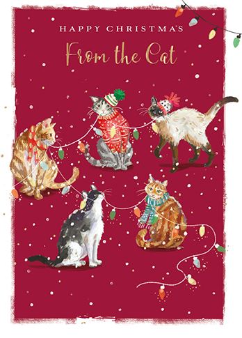 Christmas Card - From The Cat - Purr-Fect Christmas