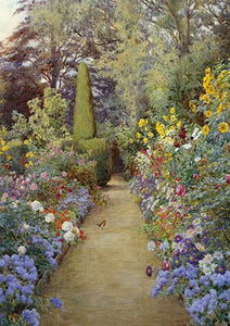 Blank Card - The Garden Path