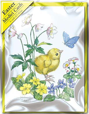 Easter Cards - Pack of 5 -  Little Chick In Primroses