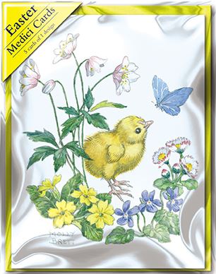 Easter Cards - Pack of 5 -  Little Chick In Primroses From The Great British Card Company, Easter Cards in France, Cartes de Paques en France, English Cards in France